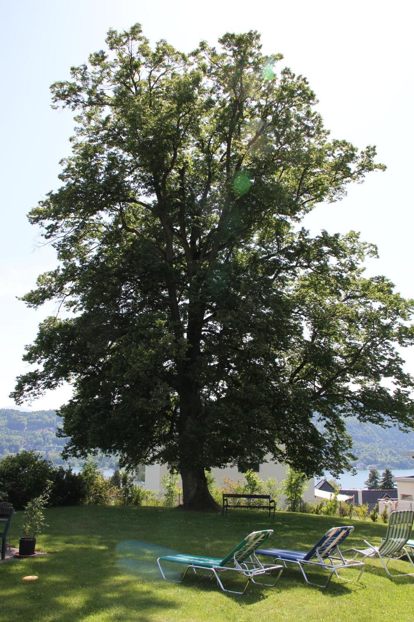 Landhaus Strussnighof Pörtschach am Wörthersee المظهر الخارجي الصورة