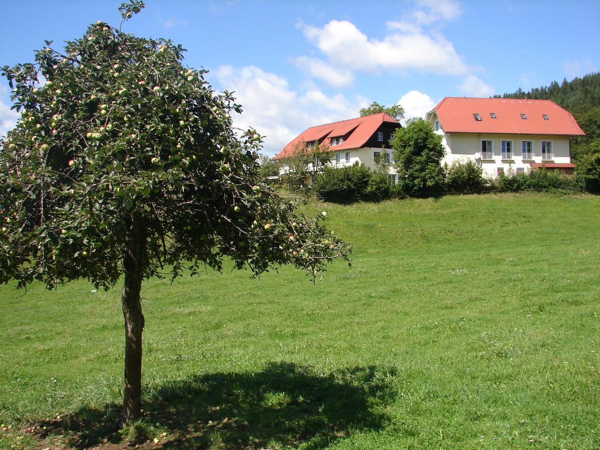 Landhaus Strussnighof Pörtschach am Wörthersee المظهر الخارجي الصورة